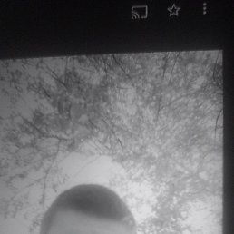 , 37, 