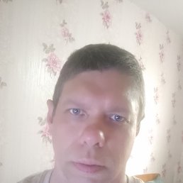 , 40, 