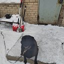 ���� �� ������� ���� ����������
