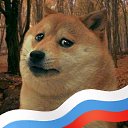 ���� ����������, �����, 61 ��� - ��������� 5 �������� 2025