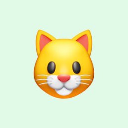���� Petya, ������, 30 ��� - ��������� 6 �������� 2025