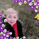 ���� �����, ������, 52 ���� - ��������� 4 ����� 2024 � ������ ���� ����������