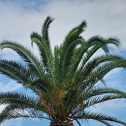 .����, �����-���������, 57 ���