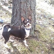 �����, 44 ����, ������� �����