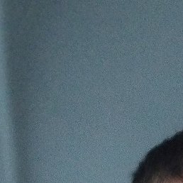 �����, ������, 40 ���