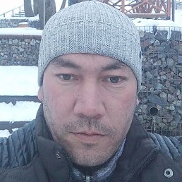 �����, �����-���������, 36 ���