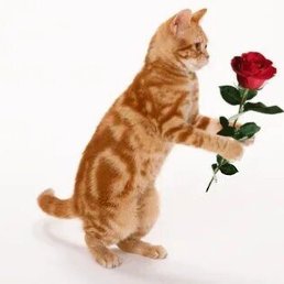 ������, ������, 74 ����