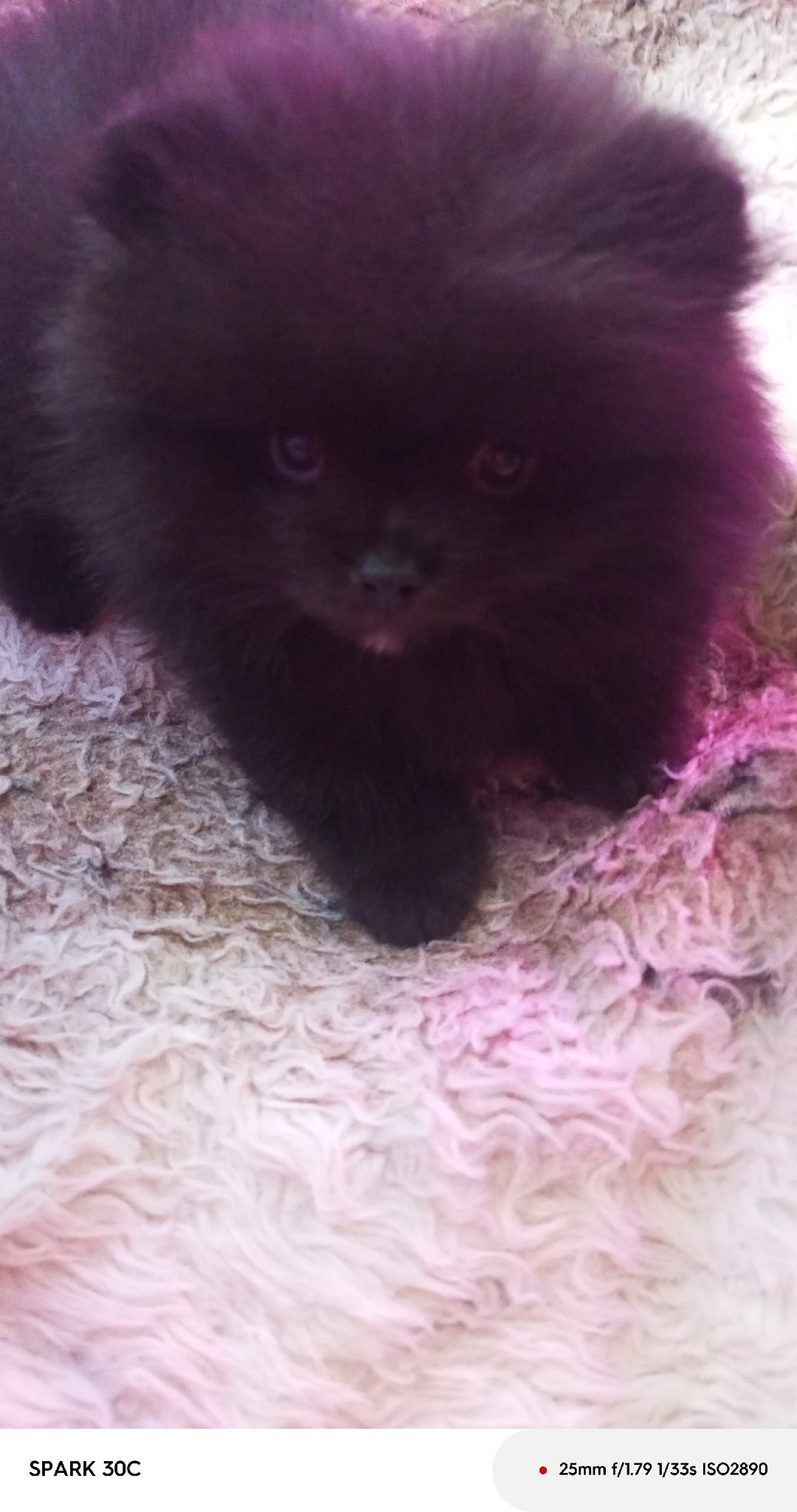 Galina - 24  2025  11:58