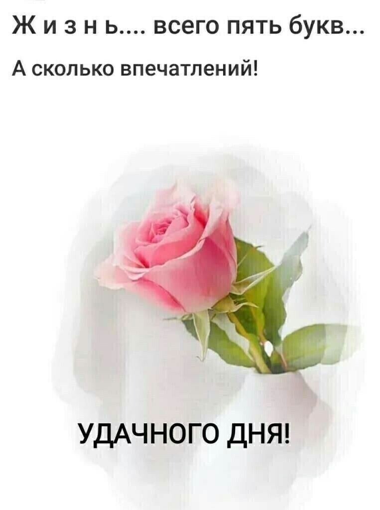   - 15  2024  06:10