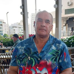 �����, �����, 56 ���