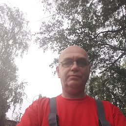 , 53, 
