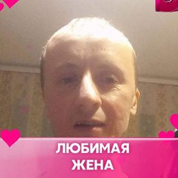 �������, �����-���������, 40 ���