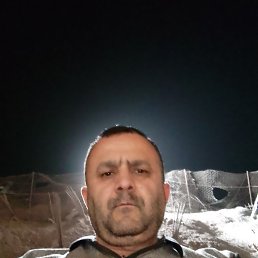 , 48, 