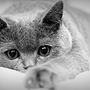 ���� ���������, ������������, 26 ��� - ��������� 28 ���� 2025 � ������ ���� ����������