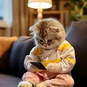 ���� ��������, ���������, 42 ���� - ��������� 12 ������� 2024