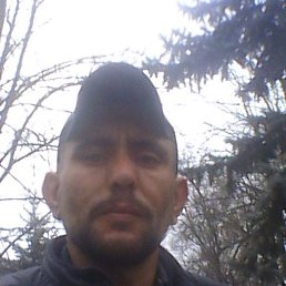 ���� ������, ����������, 41 ��� - ��������� 18 ����� 2024