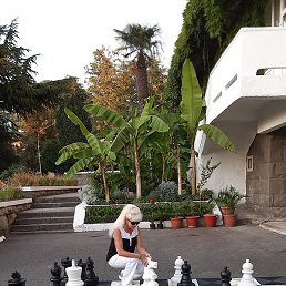 ����, ��������