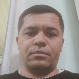 Golib, �����, 39 ���