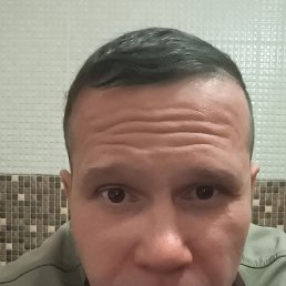 ����, 41 ���, ����������