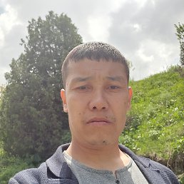 , 41, 