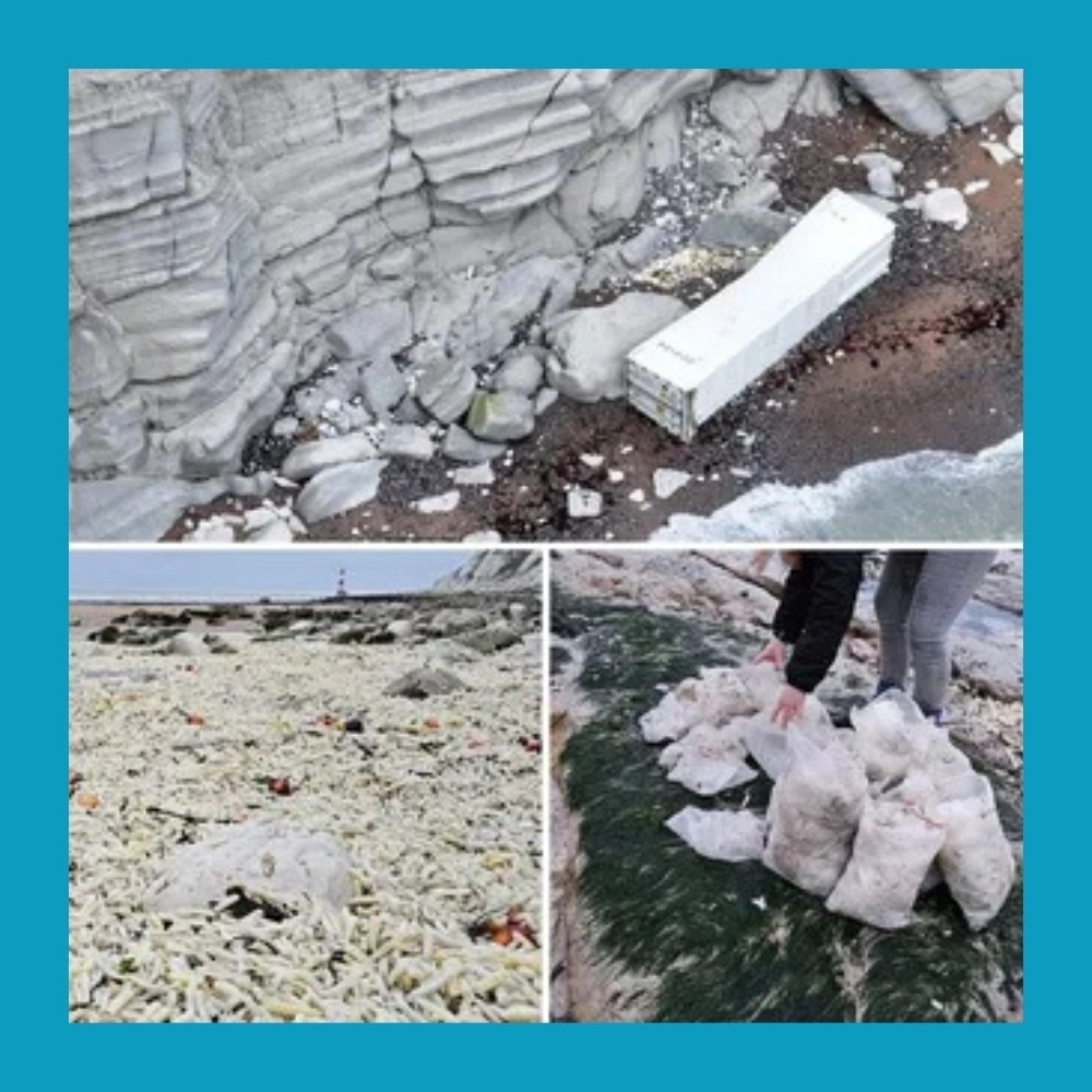 ��c��� �a�e�o� �ap�o�e�� �p� ���poc��o �a �epe� � ������.oc�e c����o�o ��op�a �a �o�epe��e oc�o��o�o ... - 2