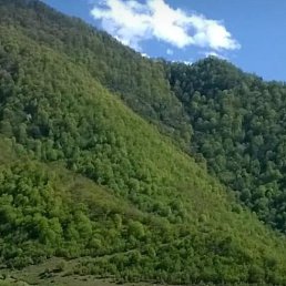 ����, ������, 59 ���