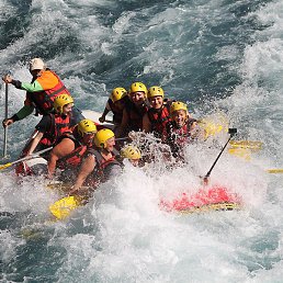 �����, �������, 56 ���