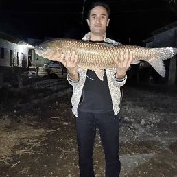 , 35, 