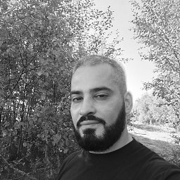 , 33, 