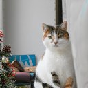 �������� ����� �� ������� ���� ����������