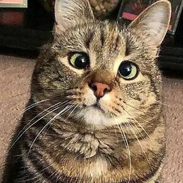 ����������, ������, 35 ���