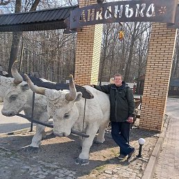 ����, ������, 37 ���