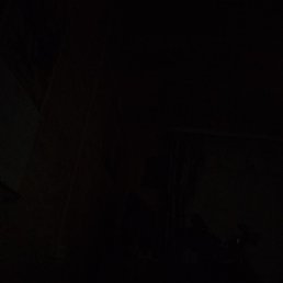 ����� ������, �����������, 54 ����