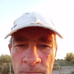 , 43, 