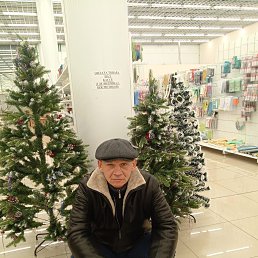 ����, 48 ���, ������