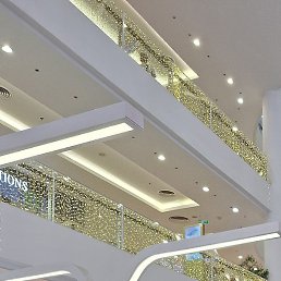 , , 62 