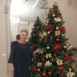 ���� �������, ��������, 72 ���� - ��������� 15 ���� 2026