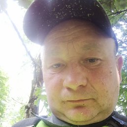 , 41, 