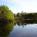 ���� ��������, ������� ��������, 43 ���� - ��������� 18 ������ 2024 � ������ ���� ����������