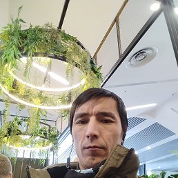 ���� ����, ���������, 37 ��� - ��������� 7 ������� 2026