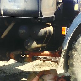 ���� �������, ������, 47 ��� - ��������� 24 ����� 2026