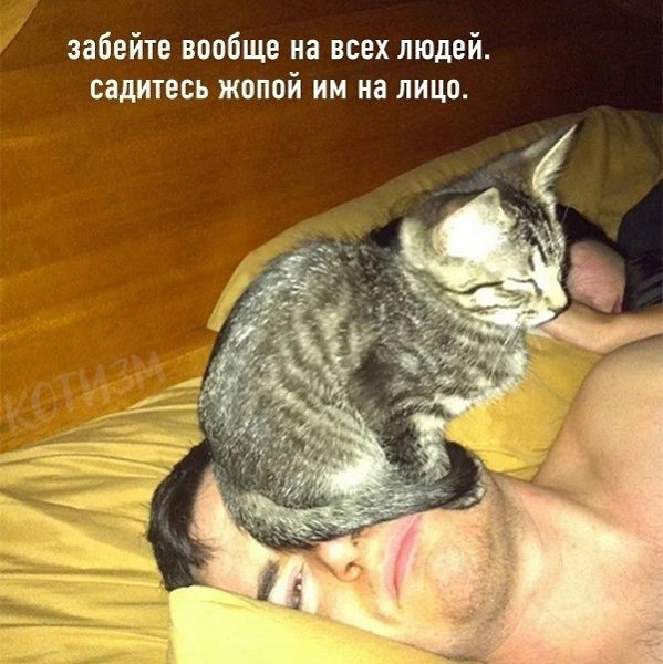   : - 7