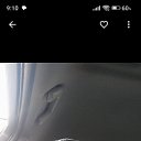  , , 49  -  28  2024    