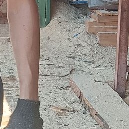 �������, �����, 37 ���