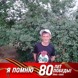 , 46, 