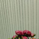 ���� ���������, ������, 60 ��� - ��������� 27 ������ 2026