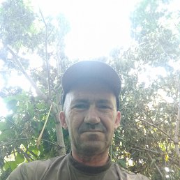 , 49, 