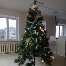 �����, ������-��-����, 35 ���