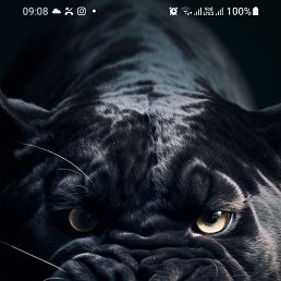 ���� �����, ������, 51 ��� - ��������� 19 ������� 2023