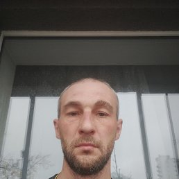 , 37, 
